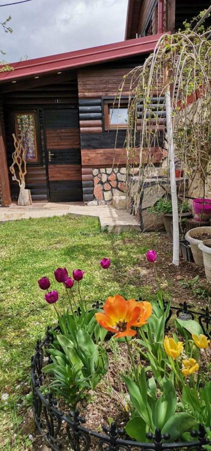 Bungalow 3 With 1 Room SJJ Exterior foto